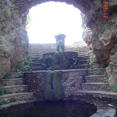 El Arranca